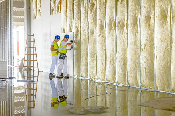 Best Insulation Installation Services in Brass Castle, NJ